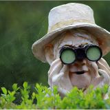 Avatar of user named "Otto1960"