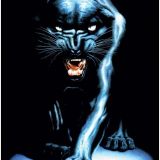 Avatar of user named "panther6972"