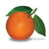 Avatar of user named "orange1122"