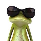 Avatar of user named "Maollo"