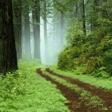 Avatar of user named "onverabien"