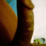 Avatar of user named "shiitoe"