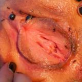 Avatar of user named "darknisslover"