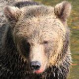 Avatar of user named "Jerry3832"