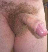 Avatar of user named "Bremer66"