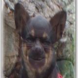 Avatar of user named "milfplayer"