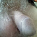 Avatar of user named "weecock"