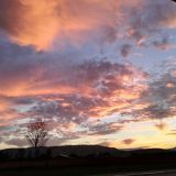 Avatar of user named "Eric2016"