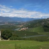 Avatar of user named "rocco90"