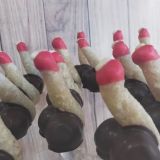 Avatar of user named "Chap2525"