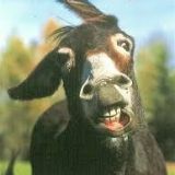 Avatar of user named "krhansen17"