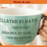 Avatar of user named "foxtwo"