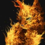Avatar of user named "Firekitten"