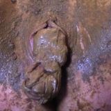 Avatar of user named "Filthypussy"