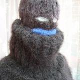 Avatar of user named "Wollwichser"