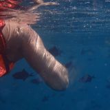 Avatar of user named "JensRLP"