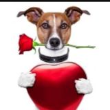 Avatar of user named "johnn1954"