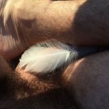 Avatar of user named "Erros73"