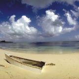 Avatar of user named "Tribunal"