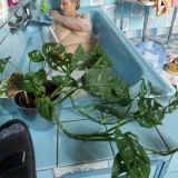 Avatar of user named "Heidrun01234"