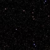 Avatar of user named "babydont"