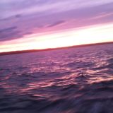 Avatar of user named "Sailingfrench"
