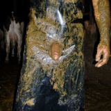 Avatar of user named "PissScheissgeil"