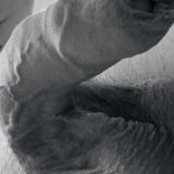 Avatar of user named "strongnorth"