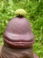 Avatar of user named "mopped650"