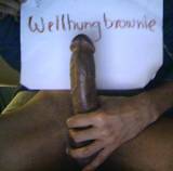 Avatar of user named "wellhungbrownie"