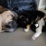 Avatar of user named "Frank0409"