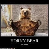 Avatar of user named "northerner72"