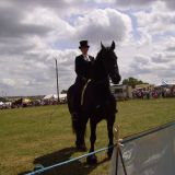 Avatar of user named "tiberian"