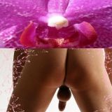 Avatar of user named "gecotirol1"