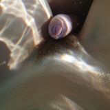 Avatar of user named "polleke"