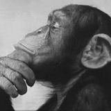 Avatar of user named "Polisson1973"