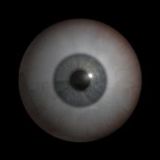 Avatar of user named "ClittNibbler2011"