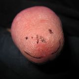 Avatar of user named "fredy51469"