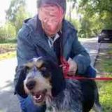 Avatar of user named "joey651"