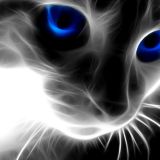 Avatar of user named "Patzi_66"