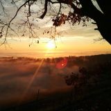 Avatar of user named "pulita66"