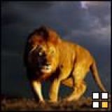 Avatar of user named "avenssis"