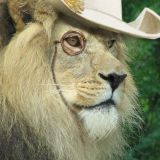 Avatar of user named "prevlex"