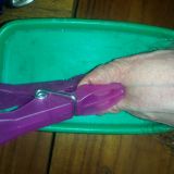 Avatar of user named "dami"