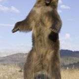 Avatar of user named "smithj0987"