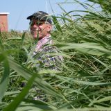 Avatar of user named "goldenretriever"