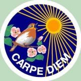 Avatar of user named "biman1943"