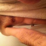 Avatar of user named "nycpan"