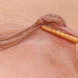 Avatar of user named "nemoralis"