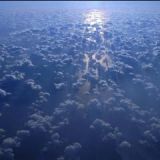 Avatar of user named "worldbtree"